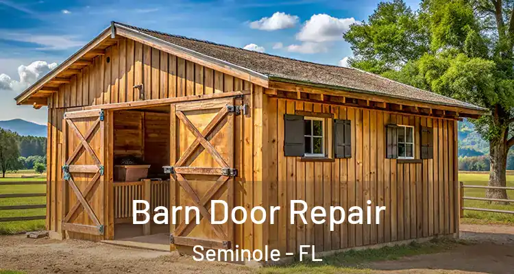  Barn Door Repair Seminole - FL