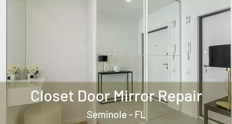 Closet Door Mirror Repair Seminole - FL