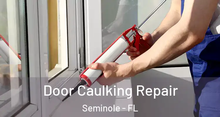  Door Caulking Repair Seminole - FL