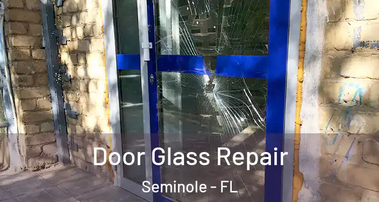  Door Glass Repair Seminole - FL