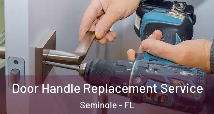  Door Handle Replacement Service Seminole - FL