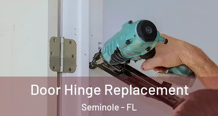  Door Hinge Replacement Seminole - FL
