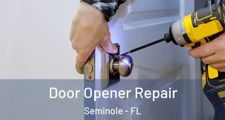 Door Opener Repair Seminole - FL