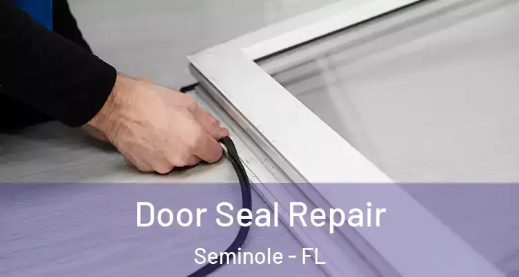  Door Seal Repair Seminole - FL