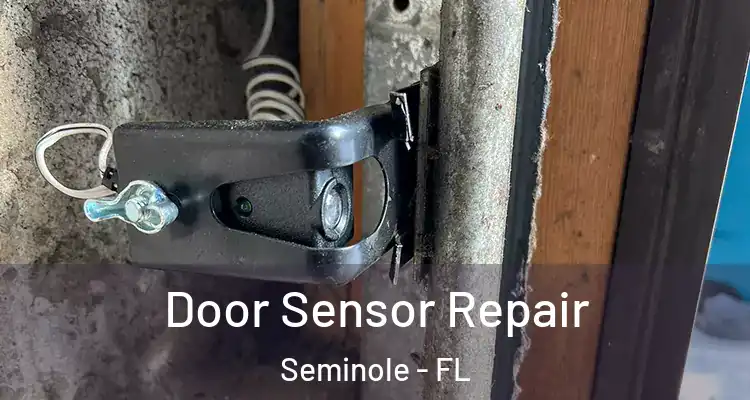  Door Sensor Repair Seminole - FL