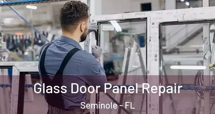  Glass Door Panel Repair Seminole - FL