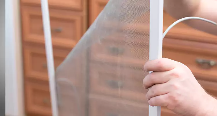 Privacy Mesh Screen Door Installation in Seminole, FL