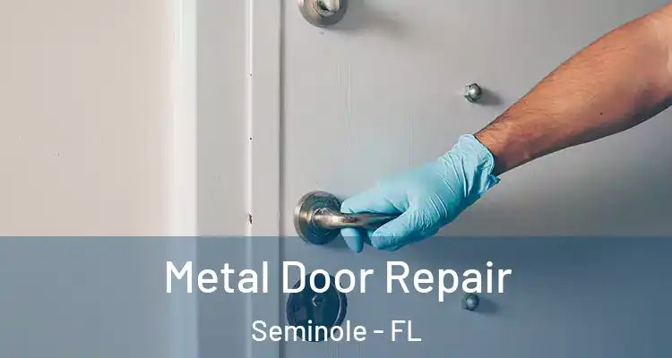  Metal Door Repair Seminole - FL