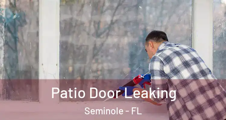 Patio Door Leaking Seminole - FL