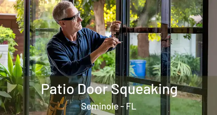  Patio Door Squeaking Seminole - FL