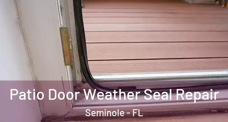  Patio Door Weather Seal Repair Seminole - FL