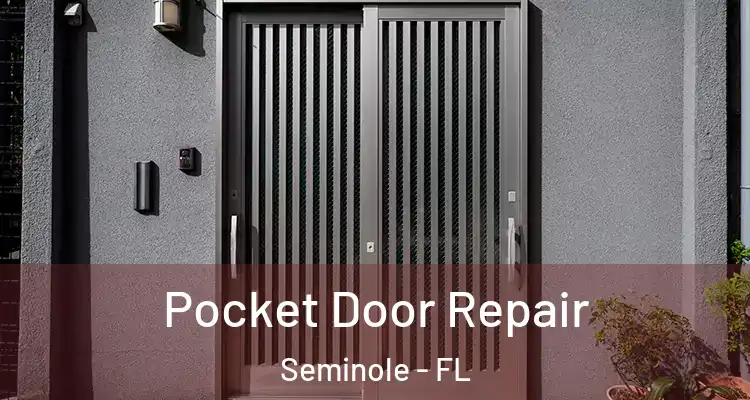  Pocket Door Repair Seminole - FL
