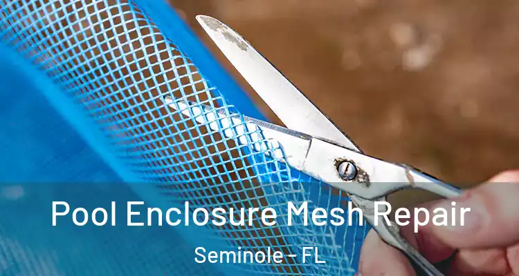  Pool Enclosure Mesh Repair Seminole - FL
