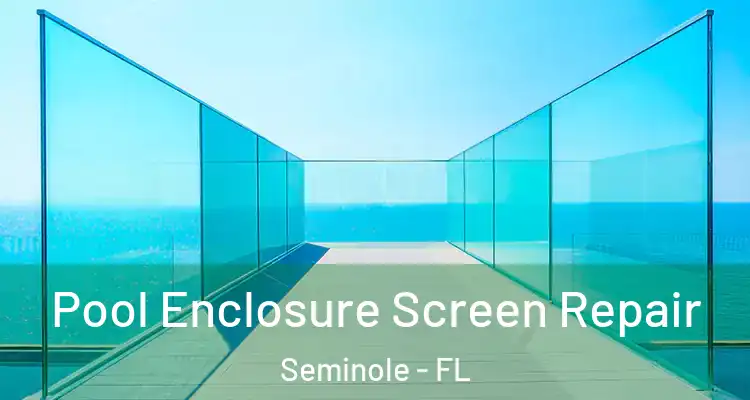  Pool Enclosure Screen Repair Seminole - FL
