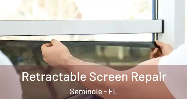  Retractable Screen Repair Seminole - FL