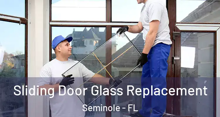  Sliding Door Glass Replacement Seminole - FL