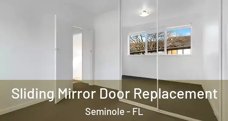  Sliding Mirror Door Replacement Seminole - FL