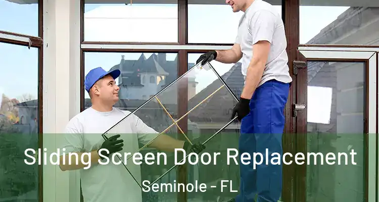  Sliding Screen Door Replacement Seminole - FL