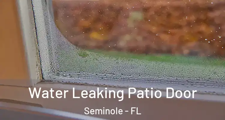  Water Leaking Patio Door Seminole - FL