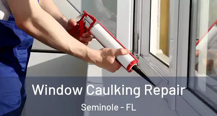  Window Caulking Repair Seminole - FL