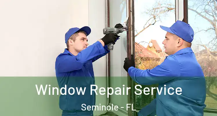  Window Repair Service Seminole - FL
